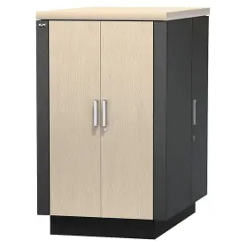 AR4024A APC Netshelter Secure Soundproof Server Box