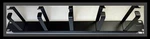 Monoprice 19" 1u Rack Mount Cable Management Organizer 5 Dring Metal #777. Fixed Price $16.99.