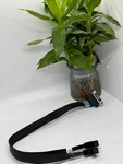 08y2c8 Dell Perc Server Sas Data Cable R740 H330 H730 Array Card Adapter. Fixed Price $69.98.