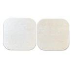 Ram Promaster Middle Rear Door Panels (pair). Fixed Price $150.00.