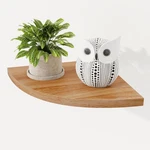 Corner Shelf Wall Mount, Solid Oak Wood Floating Shelves With Cable Ho.... Fixed Price $35.40.