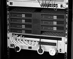 Dell Optiplex Micro (mff) 1u 19" Inch Rack Mount - Single Or Dual Options. Fixed Price $29.99.