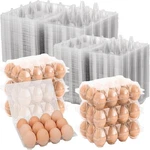 60/100 Paquetes De Cartones Plasticos Para 12 Huevos Reutilizables Y Claros. Fixed Price $27.99.